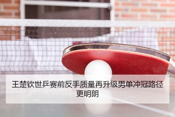 王楚钦世乒赛前反手质量再升级男单冲冠路径更明朗