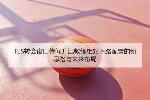 TES转会窗口传闻升温教练组对下路配置的新思路与未来布局